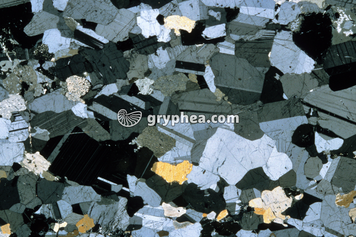 Gabbro rubané LPA x3,5 - gryphea.com